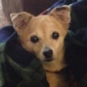 Meet your Posher, Mel